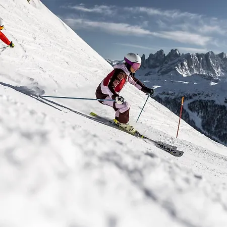 Apartman Vacanze Desiree Falcade